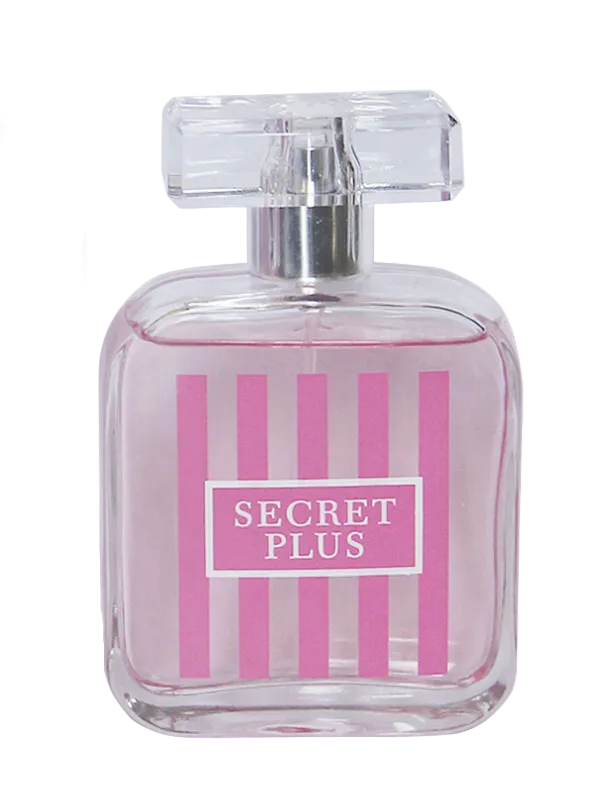 Secret Plus Lady 100ml Perfume