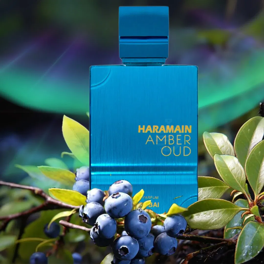 Middle Eastern Perfume Brands: A Buyer’s Comparison Guide