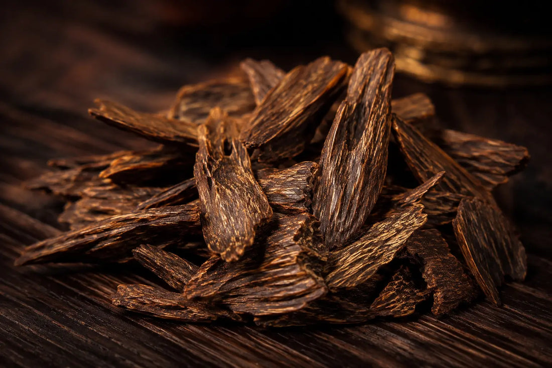 What Does Oud Smell Like? A Beginner’s Guide to the World’s Most Prized Note
