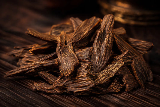 What Does Oud Smell Like? A Beginner’s Guide to the World’s Most Prized Note