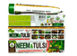 AL - RIYAN Neem & Tulsi 5 in 1 Herbal toothpaste 6ct - SmellsPlus