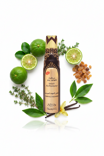 Nabeel Smart Air Freshener 300ml 1ct Single DAHN AL OUD AMIRI