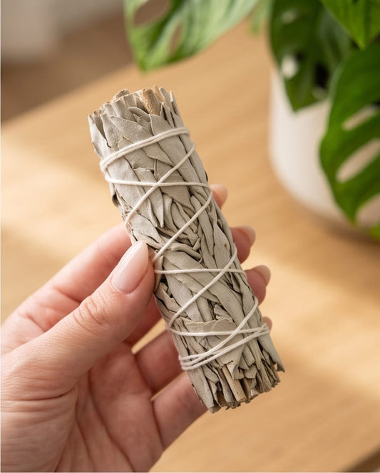 BLUNT CHIEF BURNING SAGE 10CT 4in STICKS WHITE SAGE