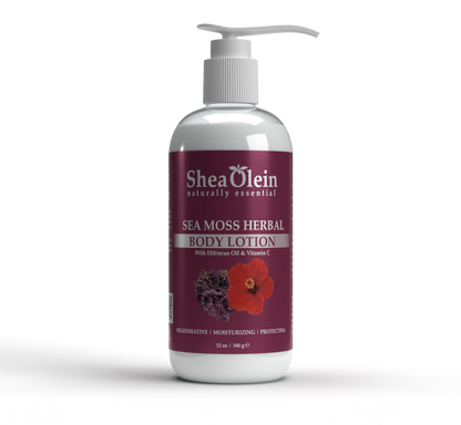 SHEA OLEIN BODY LOTION 12oz | SEA MOSS HERBAL