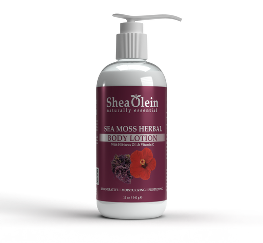 SHEA OLEIN BODY LOTION 12oz | SEA MOSS HERBAL