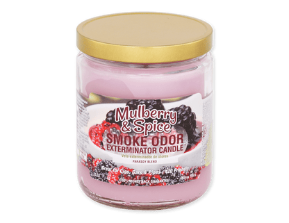 Smoke Odor Exterminator Candle 13oz. - SmellsPlus