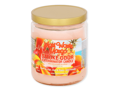 Smoke Odor Exterminator Candle 13oz. - SmellsPlus